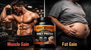 Read more about the article Does Body Fortress Whey Protein Make You Gain Weight? Honest Review